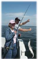 Theresa Tonte - Artisans of the Valley - Fishing for Sharks 1