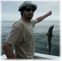 Eric Saperstein Fishing For Shark - Artisans of the Valley