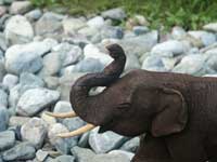 Restoration - A line of Hand Carved Teak Elephants - After Restoration Closeup 2