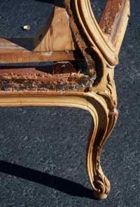 Louie XV Bergerie Chair After Restoration Repaired Leg Left Side View