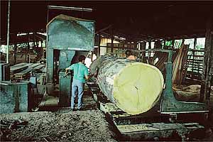 Sawm mill in operation