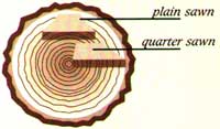 Example of a plain sawn and quarter sawn log cutting pattern for wood saw mill article