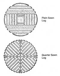 Example of a plain sawn log cutting pattern for wood saw mill article