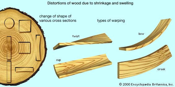 Wood drying article wood movement, shrinkage, warping, and twisting graphic