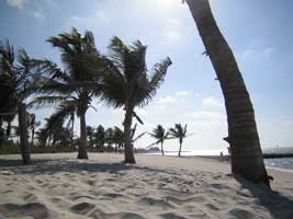Beach Scene Florida Keys - Engagement Location