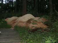 Artisans of the Valley Sumemr Sawdust Pile Photo 2