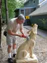 Artisans of the Valley - Chainsaw Carving of Wolf in Progress with Stanley D. Saperstein