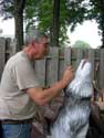 Step 24 Timberwolf Chainsaw Carving - Stan Saperstein