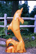 Artisans of the Valley feature Chainsaw Carving by Bob Eigenrauch - Stained Dolphin