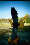 Artisans of the Valley feature Chainsaw Carving by Bob Eigenrauch - Swooping Eagle Side