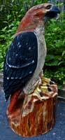 Artisans of the Valley feature Chainsaw Carving by Bob Eigenrauch - Red Tail Hawk